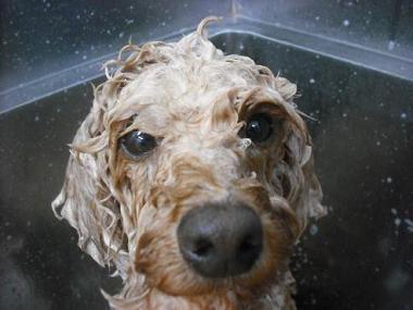 ファイル 1871-2.jpg