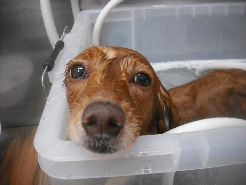 ファイル 1873-3.jpg