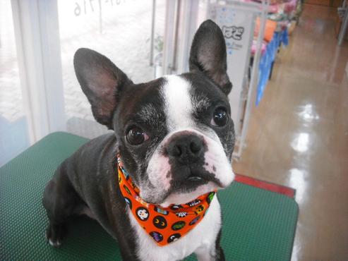 ファイル 1874-1.jpg