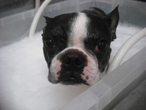 ファイル 1874-3.jpg