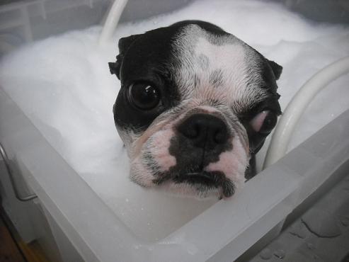 ファイル 1875-3.jpg