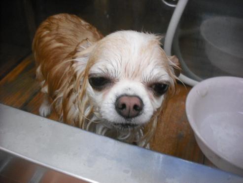 ファイル 1876-3.jpg