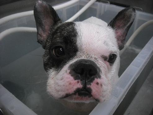 ファイル 1877-2.jpg