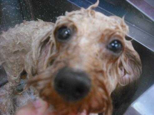 ファイル 1878-2.jpg