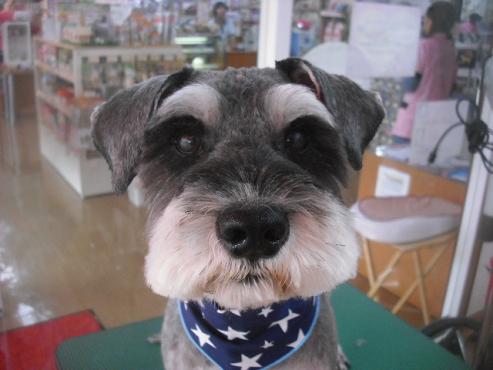 ファイル 1879-1.jpg