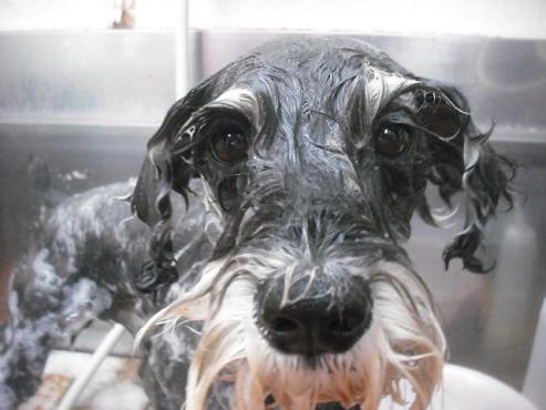 ファイル 1879-2.jpg