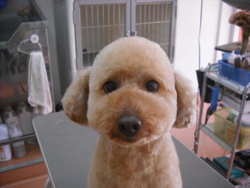 ファイル 188-1.jpg