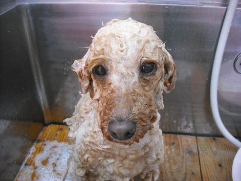 ファイル 188-2.jpg