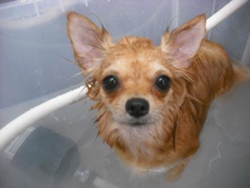 ファイル 1880-2.jpg