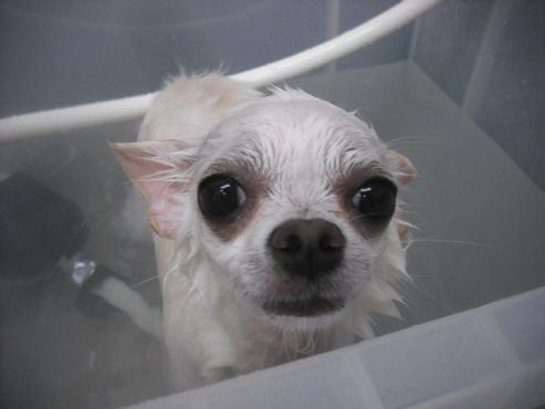 ファイル 1881-2.jpg