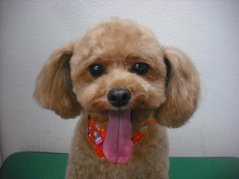 ファイル 1882-1.jpg