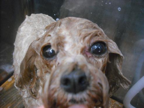 ファイル 1882-3.jpg