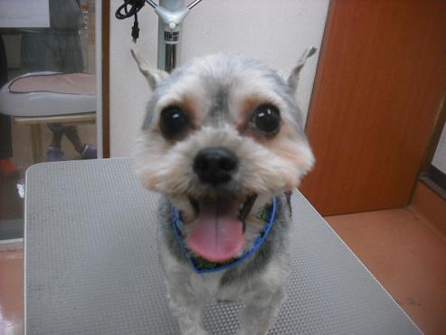 ファイル 1883-1.jpg