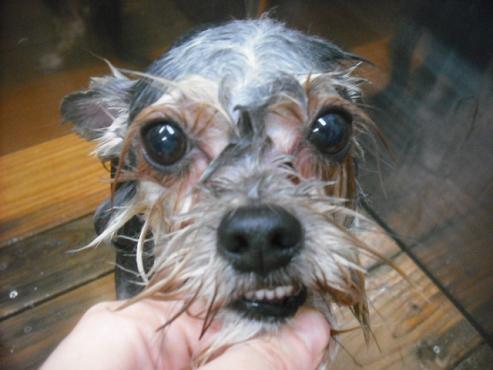 ファイル 1883-3.jpg