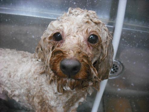 ファイル 1887-2.jpg