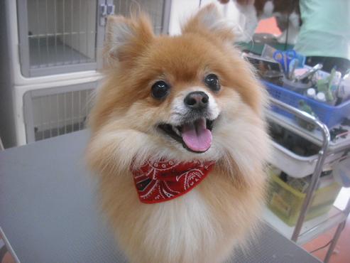 ファイル 1888-1.jpg