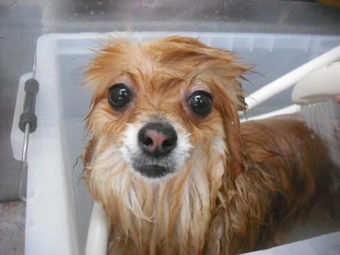 ファイル 1888-2.jpg