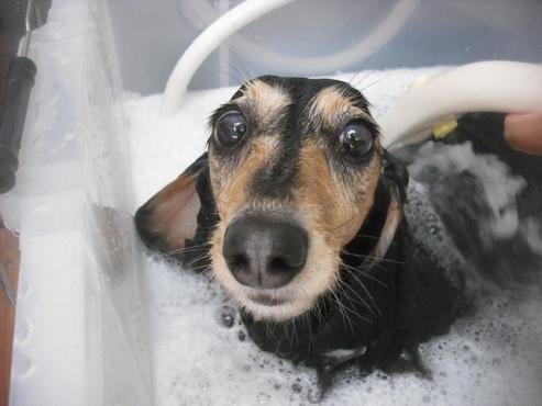 ファイル 1889-2.jpg