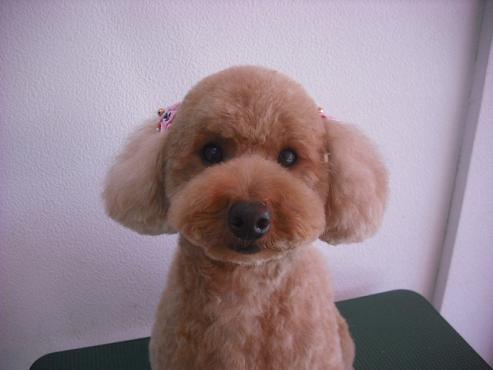 ファイル 189-1.jpg