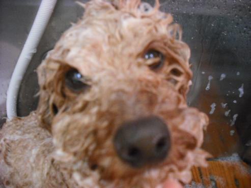 ファイル 189-2.jpg