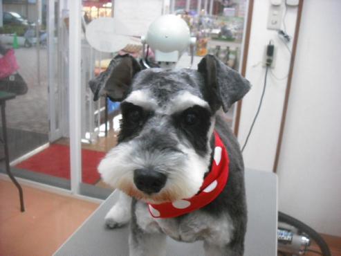 ファイル 1891-1.jpg