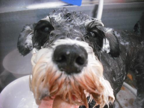 ファイル 1891-2.jpg