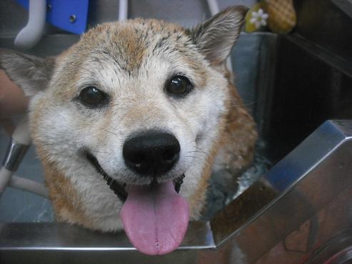 ファイル 1892-2.jpg