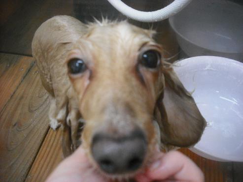 ファイル 1896-2.jpg