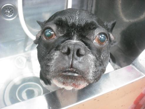 ファイル 1897-2.jpg