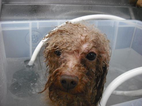 ファイル 19-2.jpg