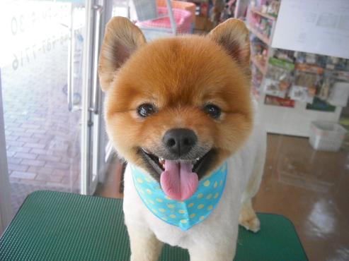 ファイル 190-1.jpg