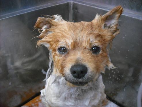 ファイル 190-2.jpg