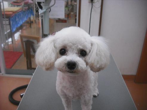 ファイル 1900-1.jpg