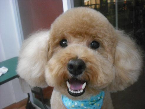 ファイル 1901-1.jpg