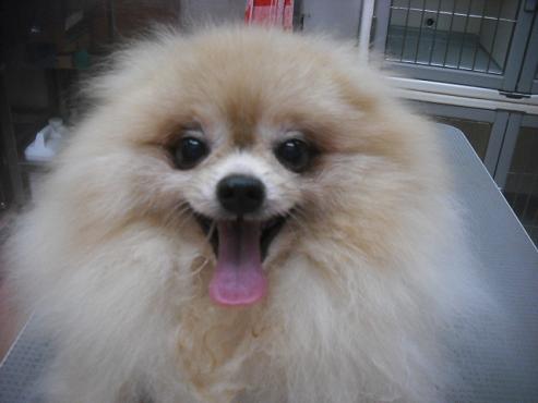 ファイル 1902-1.jpg