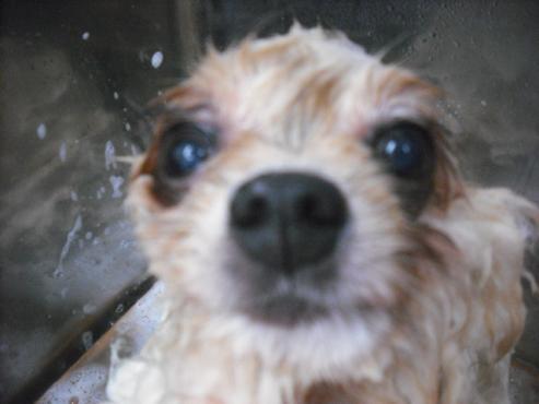 ファイル 1902-2.jpg