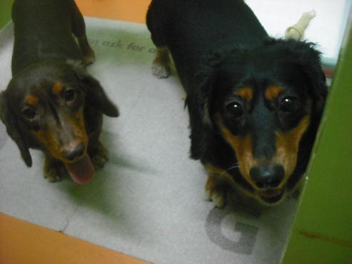 ファイル 1903-1.jpg