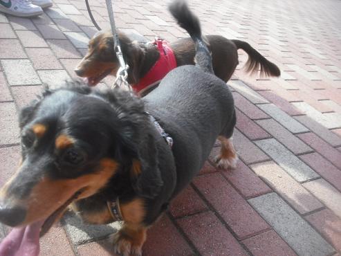 ファイル 1903-2.jpg