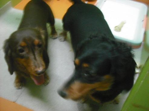 ファイル 1903-3.jpg