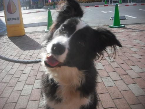 ファイル 1904-1.jpg