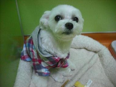 ファイル 1905-1.jpg