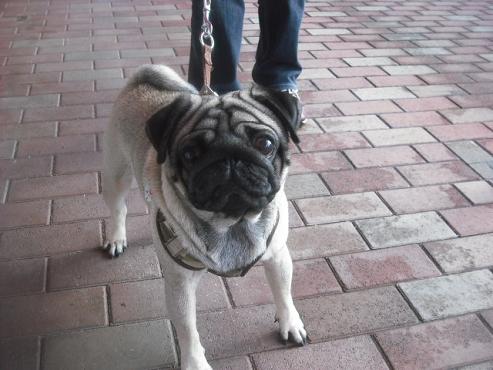 ファイル 1907-2.jpg