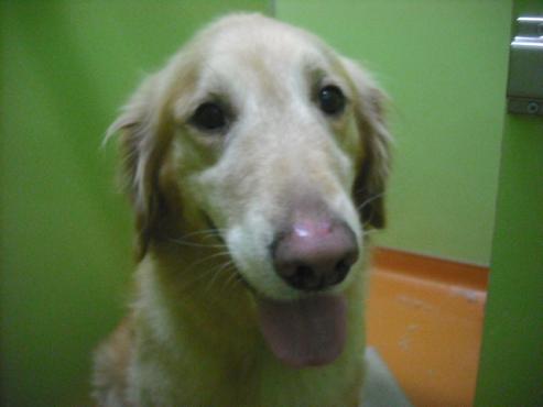 ファイル 1908-1.jpg