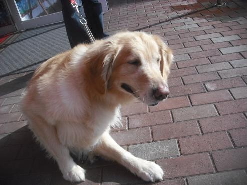 ファイル 1908-2.jpg