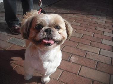 ファイル 1909-2.jpg