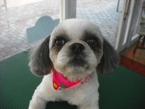 ファイル 191-1.jpg