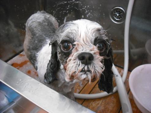 ファイル 191-2.jpg