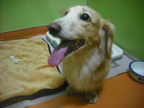 ファイル 1910-1.jpg