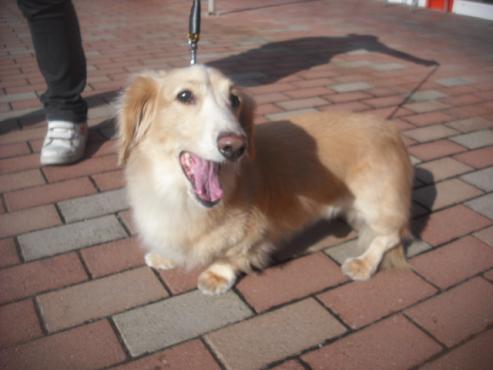 ファイル 1910-2.jpg