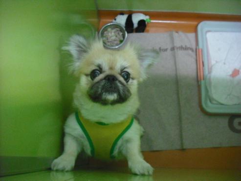 ファイル 1912-2.jpg